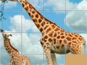 Animals Slide Puzzle