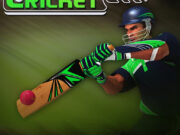 Cricket Batter Challenge Game