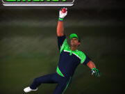 Cricket Fielder Challenge Game