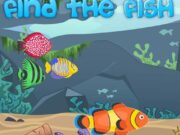 Find The Fish