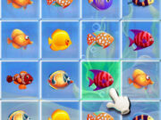 Fishing Puzzles