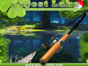 Forest Lake