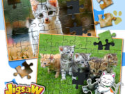 Jigsaw Puzzle Cats & Kitten