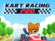 Kart Racing Pro