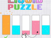 Liquid puzzle sort the color
