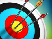 Master Archery Shooting