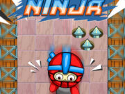 Ninja