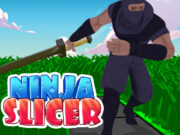 Ninja Slicer