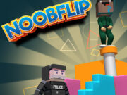 Noob Flip