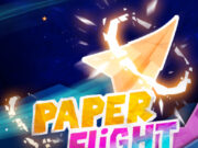 Paper Flight