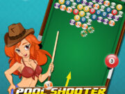Pool Shooter Billiard Ball