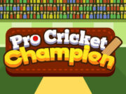 Pro Cricket Champion