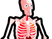 Sniper Shot: Bullet Time