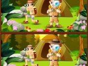 Spot 5 Differences Camping