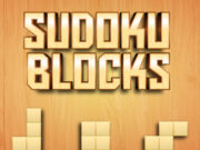 Sudoku Blocks