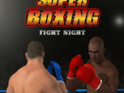 Super Boxing Fight Night