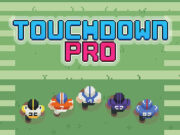 Touchdown Pro