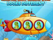 Which Sea Creature Looks Different