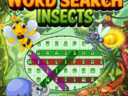 Word Search Insects