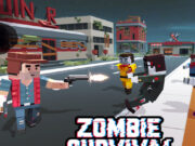 Zombies Survival