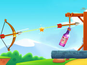 Archery Bottle Shoot