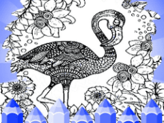 Adult Coloring Pages