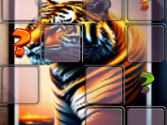 Animal Tiger Memory Match