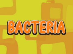 Bacteria