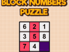 Block Numbers Puzzle