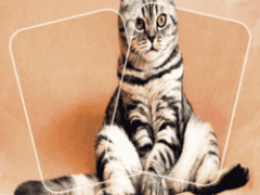 Cat Puzzle Memory Match