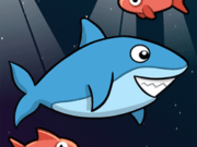 Hungry Shark