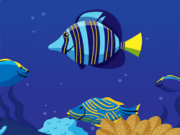 Ocean Math Game Online