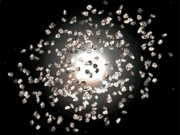 Theory of Planet Evolution