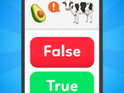 True False – Quiz