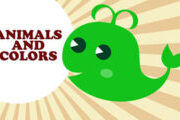 Animals & Colors