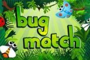 Bug Match 2