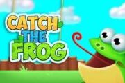 Catch The Frog