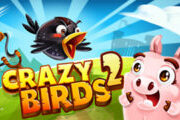 Crazy Birds 2