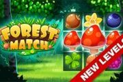 Forest Match