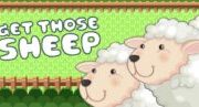 Get Those Sheep