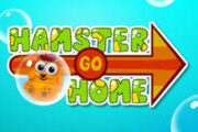 Hamster Go Home