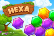 Hexa Fever Summer