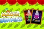Magic Bunnies