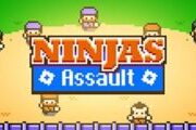 Ninjas Assault