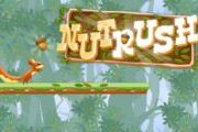 Nut Rush