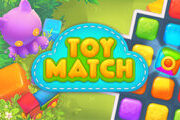 Toy Match